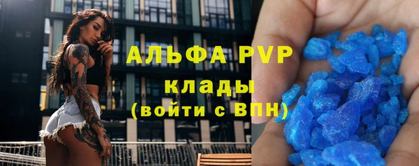 трава Аркадак