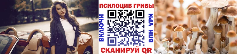 Купить закладки  Донецк  Псилоцибиновые грибы мицелий 
